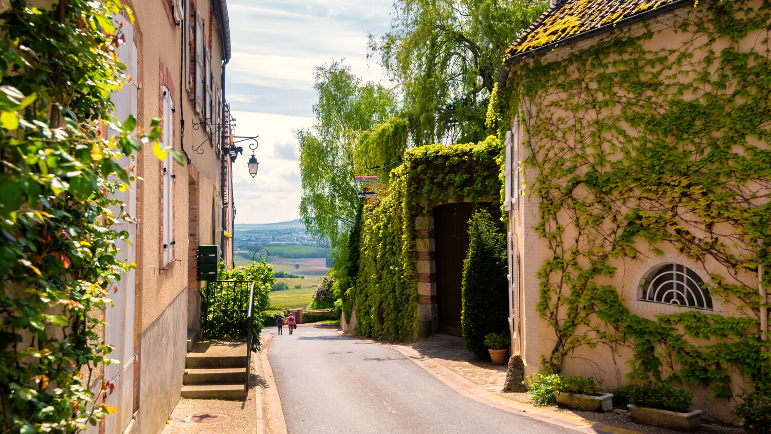 Visiter la Champagne : les plus beaux paysages - 2026 - 52 - visiter la champagne visiter la champagne - Visiter la Champagne : les plus beaux paysages - 2026 - 51