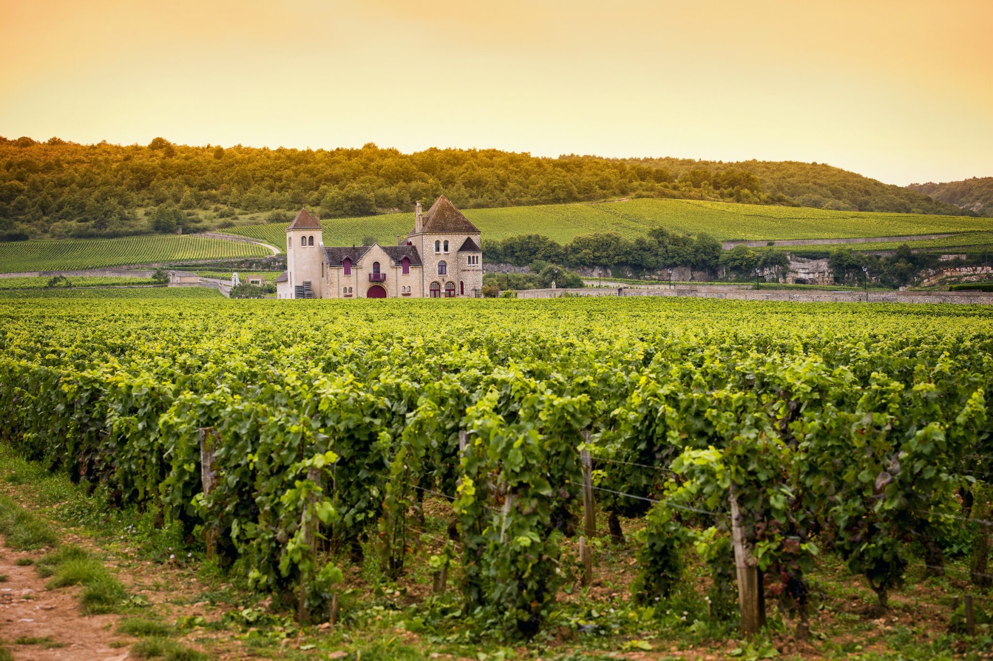 BEST French Wine Regions to Visit in 2026 ⭐️ Made in France