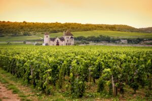 Les vignobles de Bourgogne