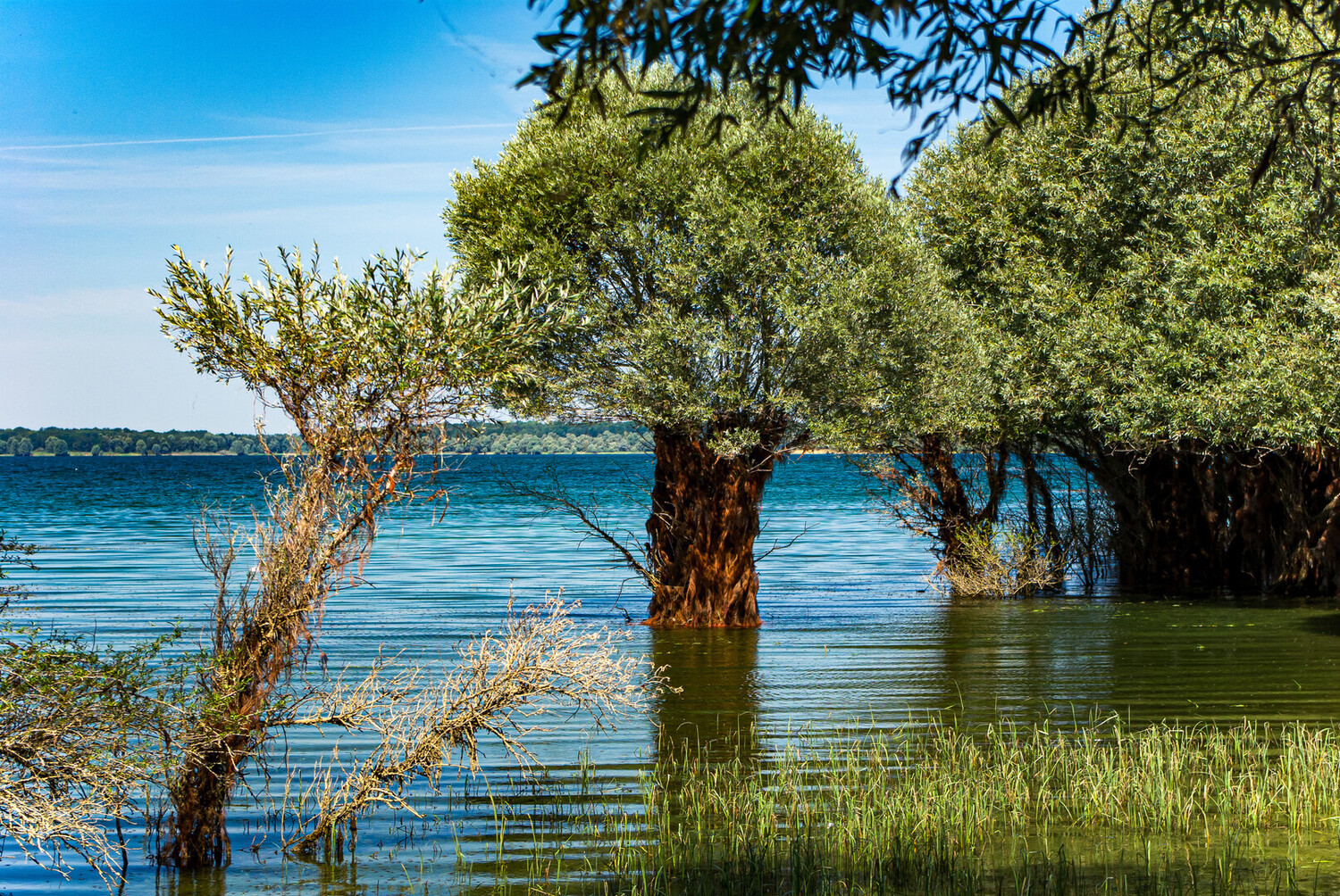 Visiter Troyes : les incontournables de la ville aux mille couleurs - 2026 - 20 - visiter troyes visiter troyes - Visiter Troyes : les incontournables de la ville aux mille couleurs - 2026 - 19