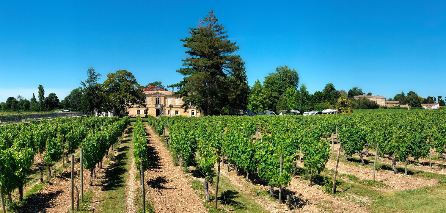 Que faire à Bordeaux quand il pleut ? Les meilleures idées - 2026 - 31 - que faire à bordeaux quand il pleut que faire à bordeaux quand il pleut - Que faire à Bordeaux quand il pleut ? Les meilleures idées - 2026 - 30