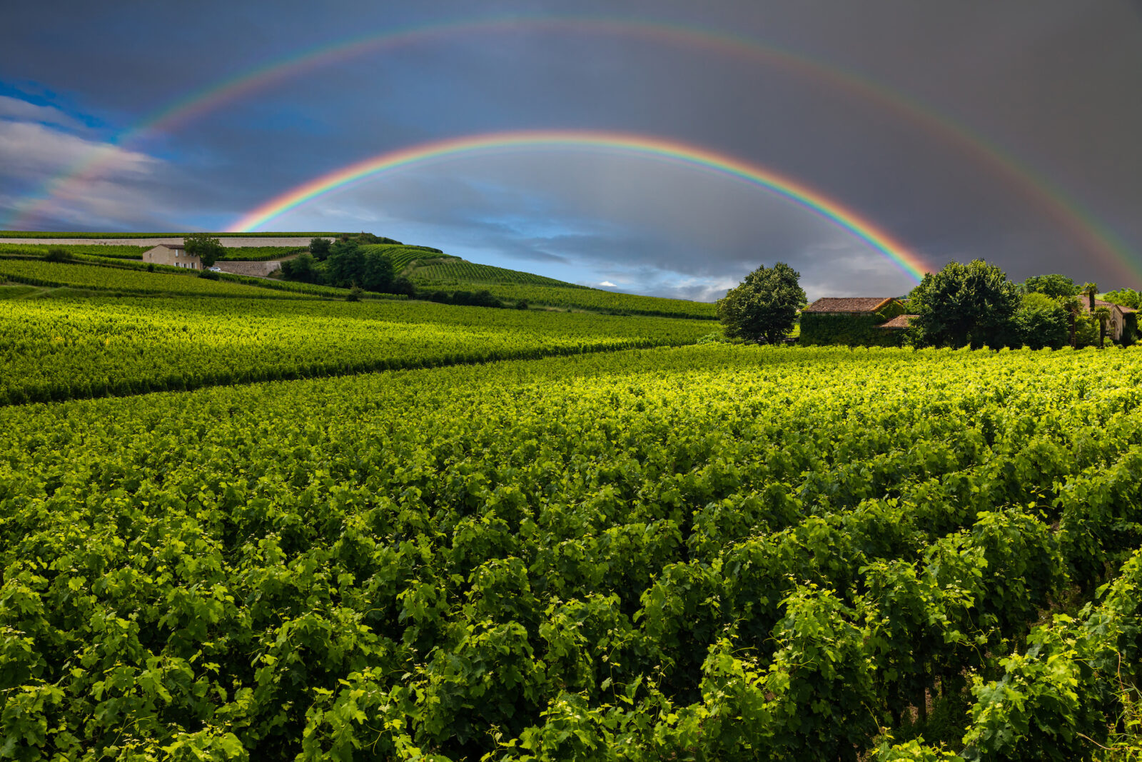 Que Faire Dans Le Beaujolais Quand Il Pleut Bordeaux Sous La Pluie : Que Faire Quand Il Pleut ?