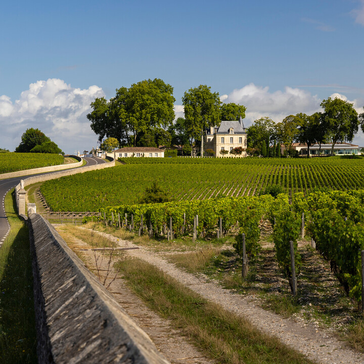 Côte d'or - Route des Vins du Médoc : Itinéraire, carte et circuit - 2025 - 4