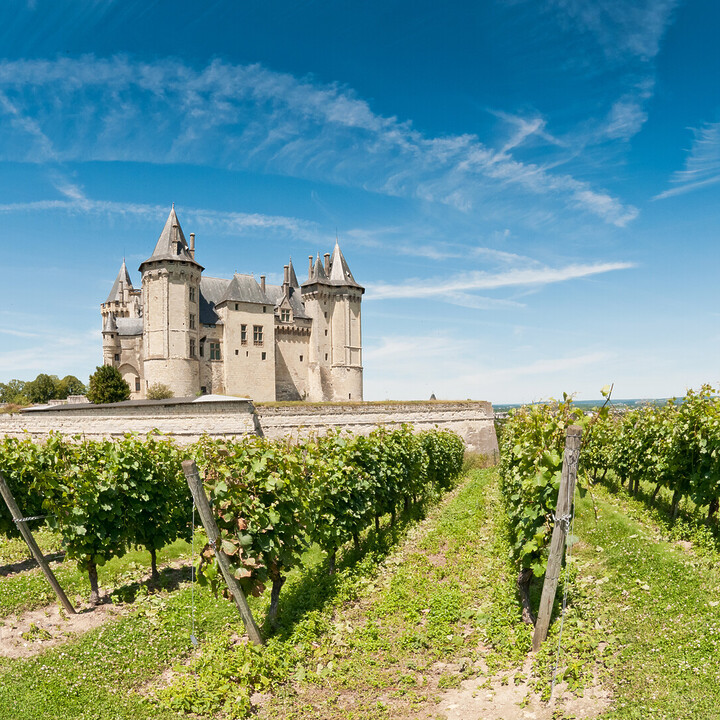 - Découvrir la route des vins de Touraine : Itinéraire, guide et conseils - 2025 - 1