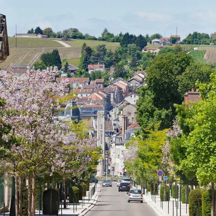 best things to do in epernay, epernay france champagne houses, visit epernay - Visiting Epernay: Best things to do - 2025 - 1