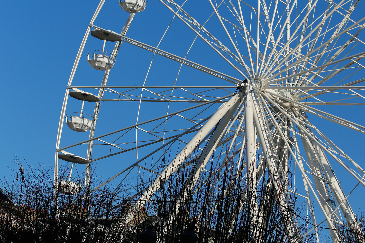 Reims Christmas Market: Champagne, Lights & Festive Magic - 2026 - 7 - Reims Christmas Market Reims Christmas Market - Reims Christmas Market: Champagne, Lights & Festive Magic - 2026 - 6