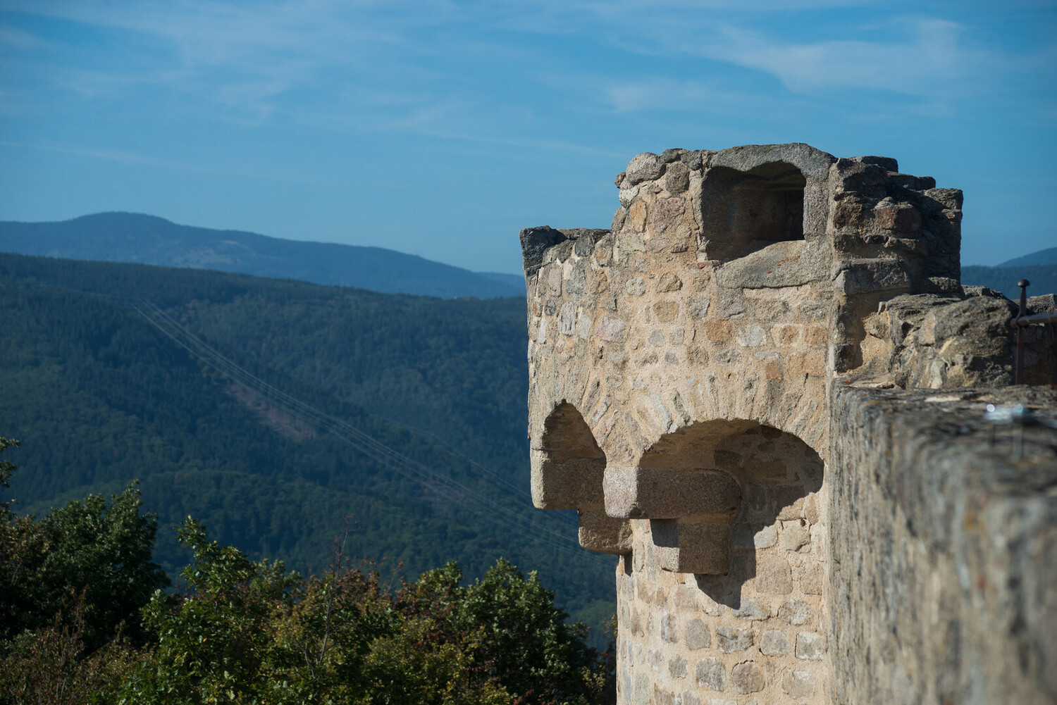 Uncover the best things to do in Kaysersberg: winery and tradition - 2026 - 26 - things to do in kaysersberg things to do in kaysersberg - Uncover the best things to do in Kaysersberg: winery and tradition - 2026 - 25