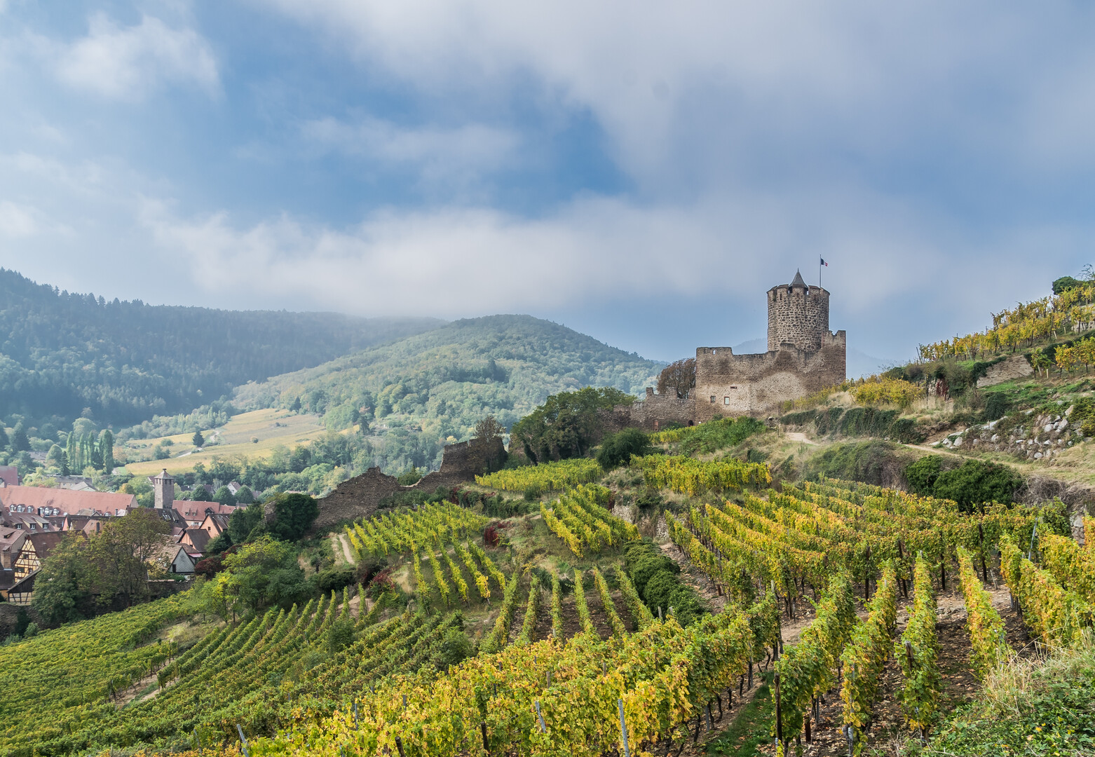 Uncover the best things to do in Kaysersberg: winery and tradition - 2026 - 4 - things to do in kaysersberg things to do in kaysersberg - Uncover the best things to do in Kaysersberg: winery and tradition - 2026 - 3