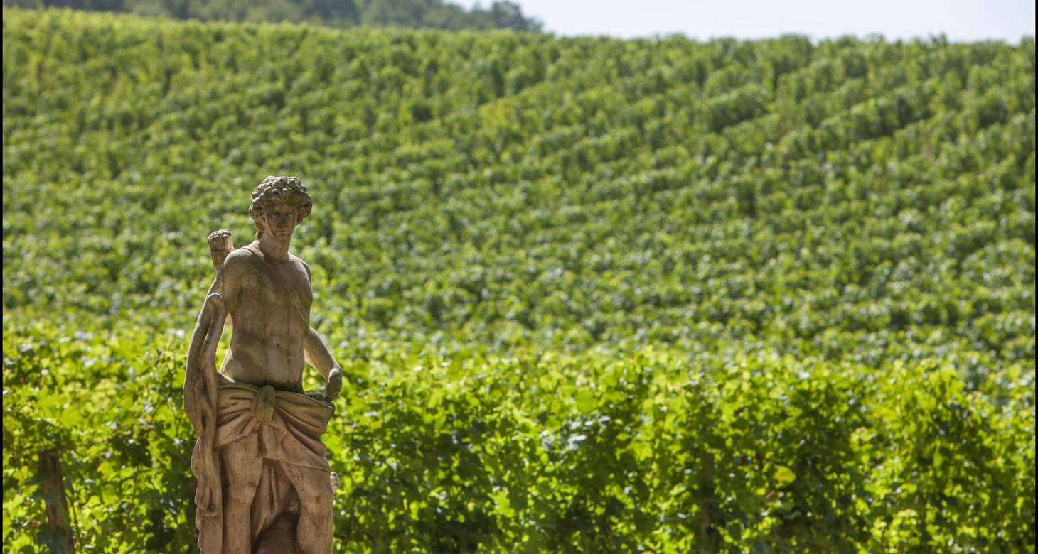 Best Bordeaux wine bars: Your Bordeaux city center guide - 2026 - 18 - bordeaux wine bar bordeaux wine bar - Best Bordeaux wine bars: Your Bordeaux city center guide - 2026 - 17