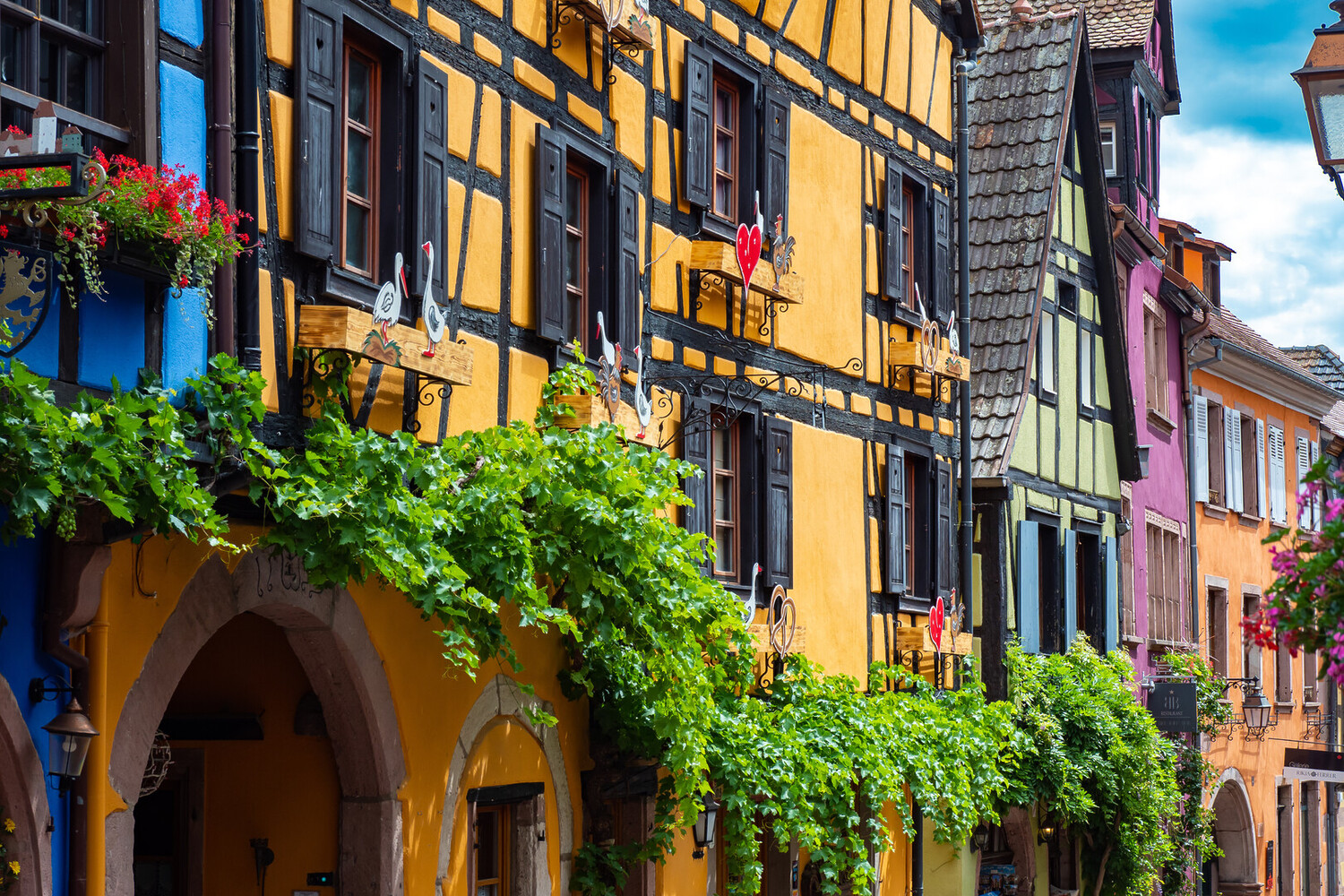 route des vins de colmar,route des vins colmar - La route des vins de Colmar : entre visites du vignoble et découvertes - 2025 - 6
