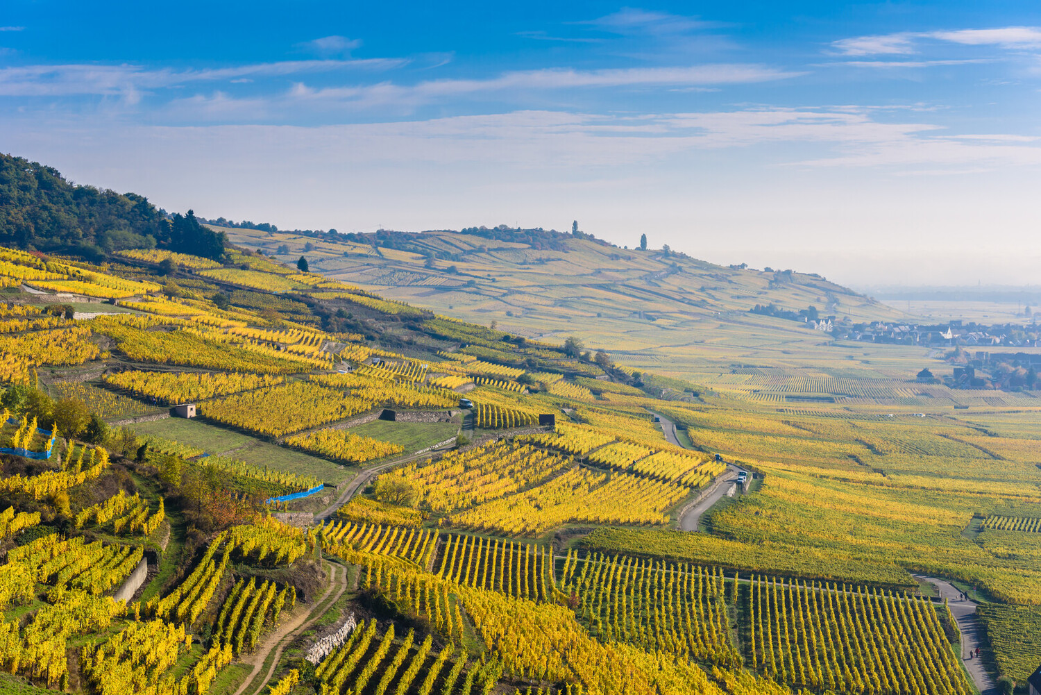 route des vins de colmar,route des vins colmar - La route des vins de Colmar : entre visites du vignoble et découvertes - 2025 - 1