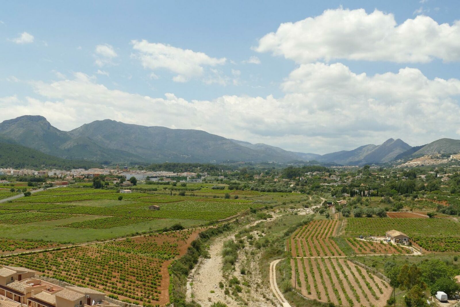 Top 6 best wine regions of Spain Your Complete Guide