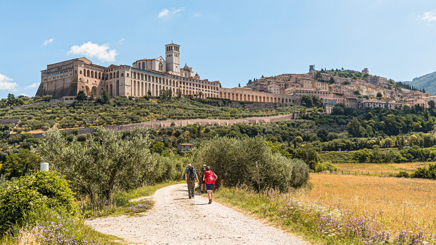 assise - Que faire à Assise : Entre patrimoine, spiritualité et vins d'Italie - 2025 - 11