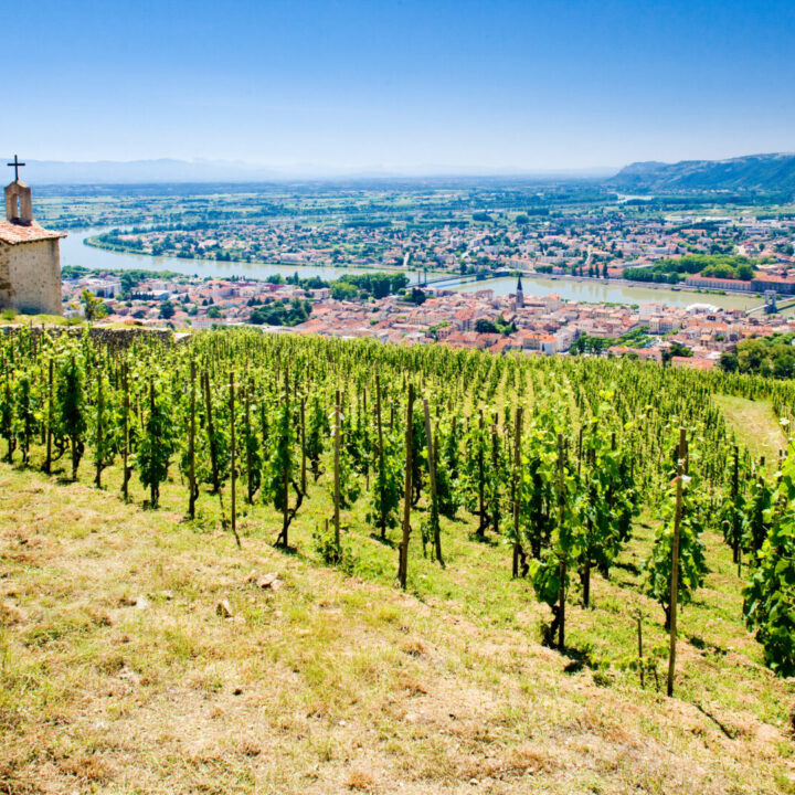 wine tours near lyon,lyon wine tours,lyon guide - Visit the Rhône Valley: on the Rhône Wine Route - 2025 - 7