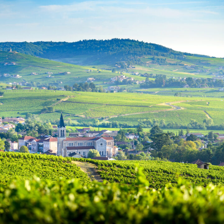 visiter beaune - Visiter le Beaujolais : Que faire et plus beaux villages à voir - 2025 - 8