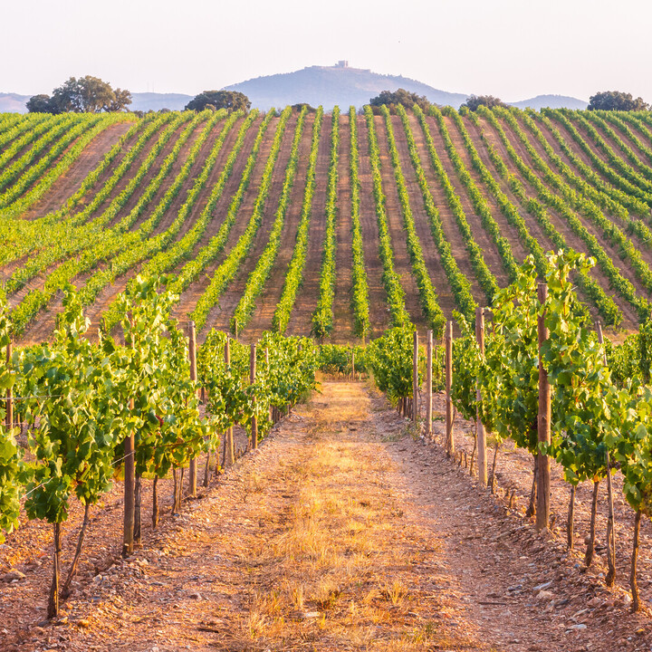 alentejo - Visiter Alentejo : Beauté brute, accueil sincère et traditions vivantes - 2025 - 1