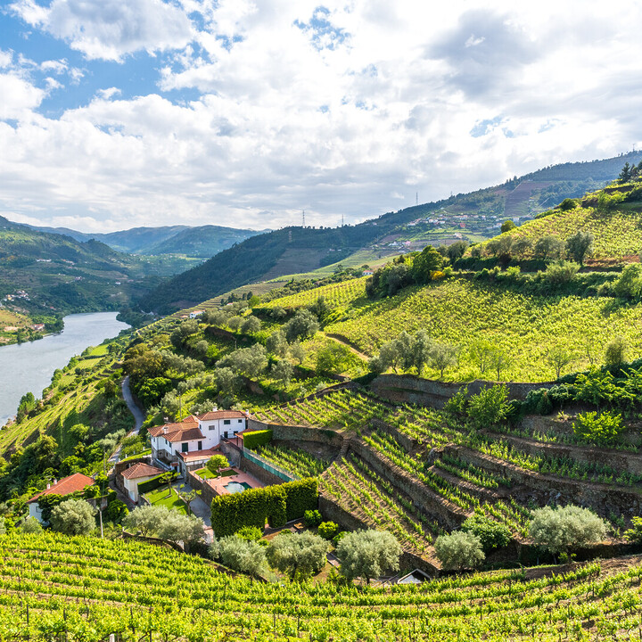 - Discover the best wine regions in Portugal - 2026 - 11
