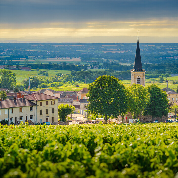 - Your perfect Beaujolais wine route itinerary (wineries, villages, ...) - 2025 - 1