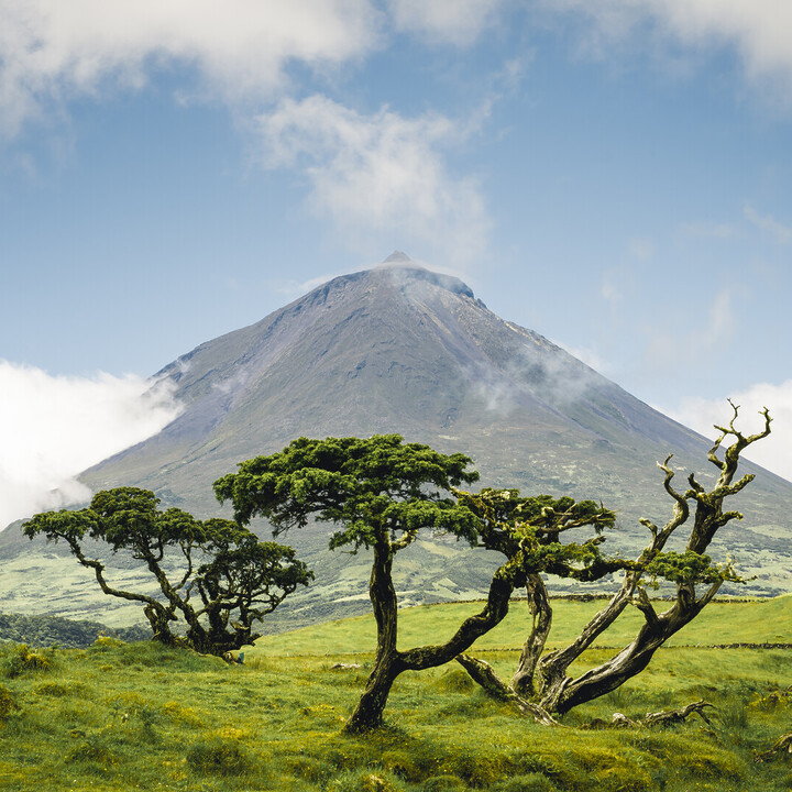 Azores Itinerary: How to Plan an Amazing Trip Across São Miguel, Pico and Terceira Island - 2026 - 6 - day tours from toulouse day tours from toulouse - Azores Itinerary: How to Plan an Amazing Trip Across São Miguel, Pico and Terceira Island - 2026 - 5