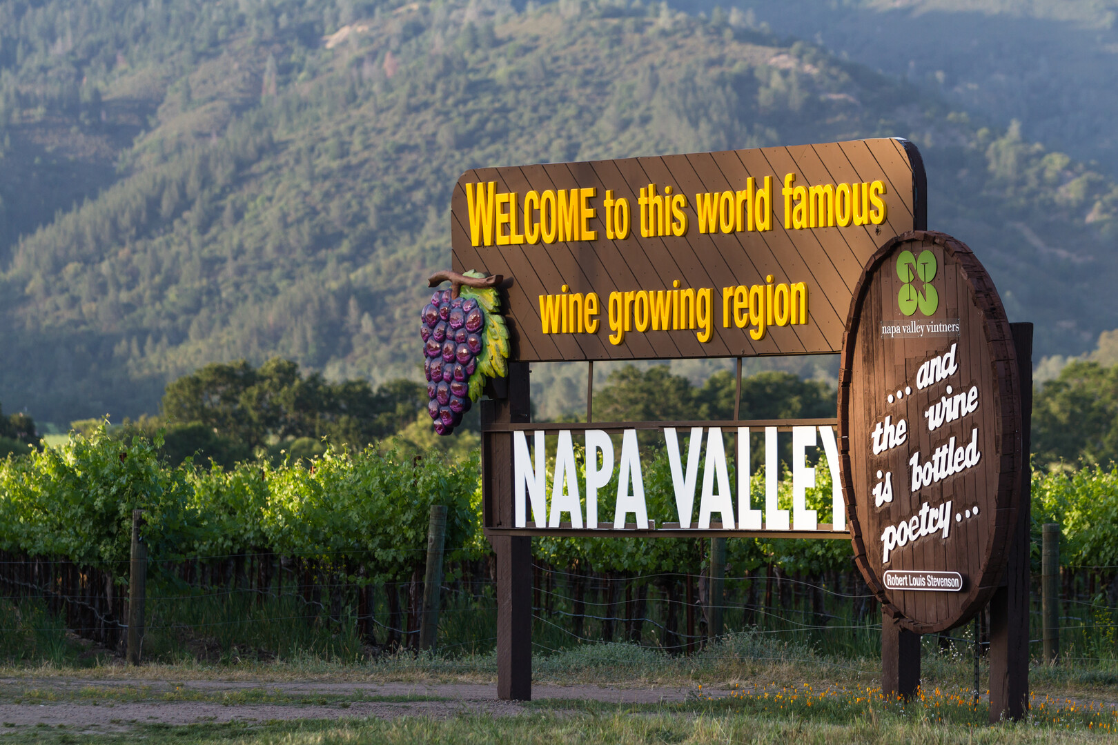 Best Things to do in Napa Valley Region ⭐️ Guide 2026 - Winalist