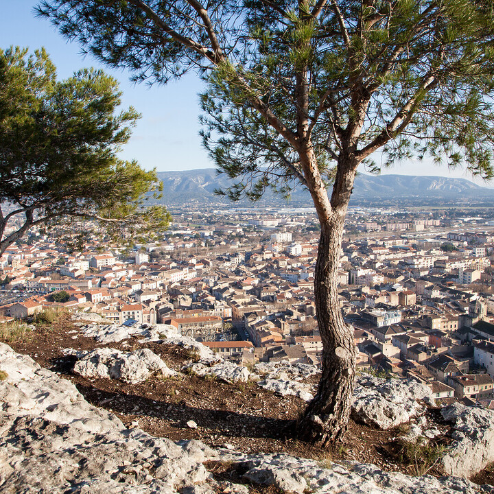 ponte de lima - Visitez Cavaillon : un joyau entre Luberon et Provence - 2025 - 15