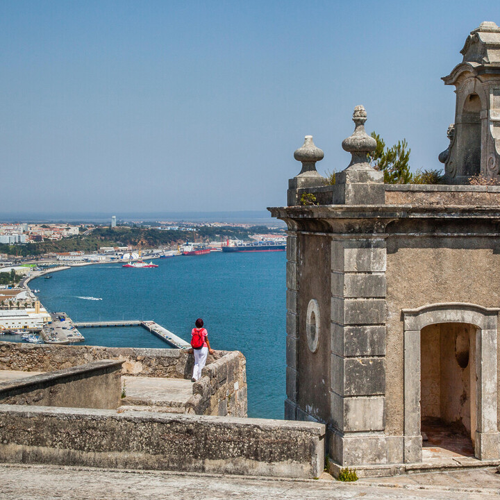 Que faire à Setúbal ? Le top des meilleures activités - 2025 - 16 - Funchal Funchal - Que faire à Setúbal ? Le top des meilleures activités - 2025 - 15