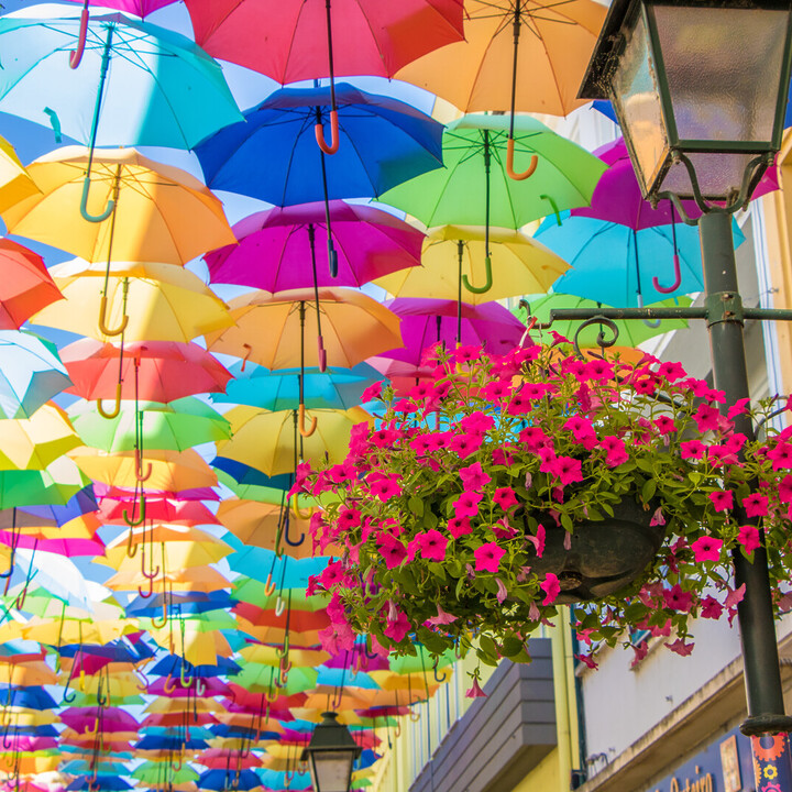 - Visiter Águeda, Portugal : la ville aux 1000 parapluies - 2025 - 5