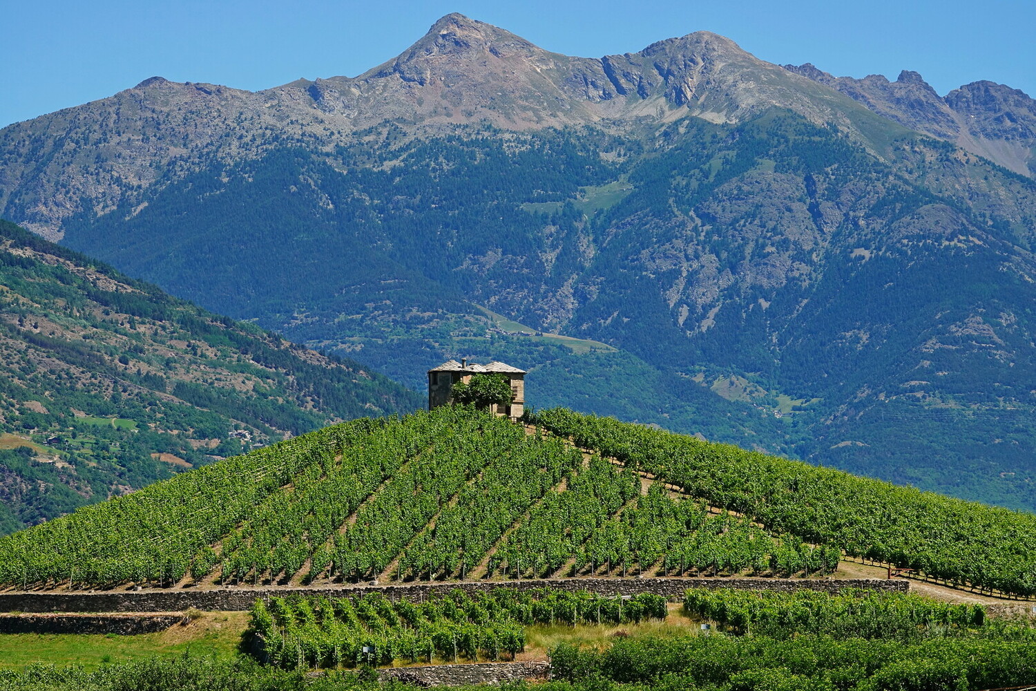 Things to Do in Aosta - Unmissable Things to Do in Aosta: Discover the Capital of the Valley - 2025 - 15