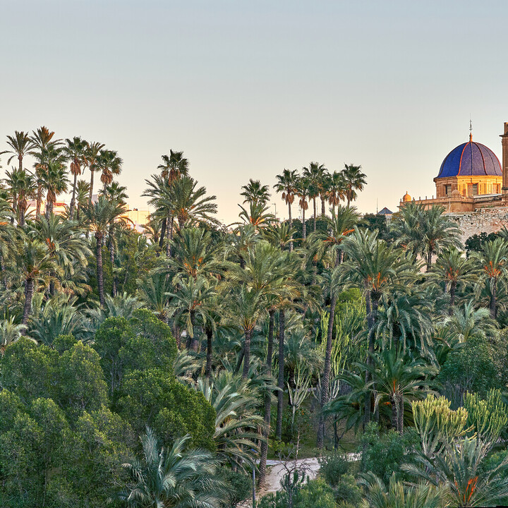 la gomera - Visiter Elche : L’oasis d'Espagne entre palmiers, histoire et soleil - 2025 - 11