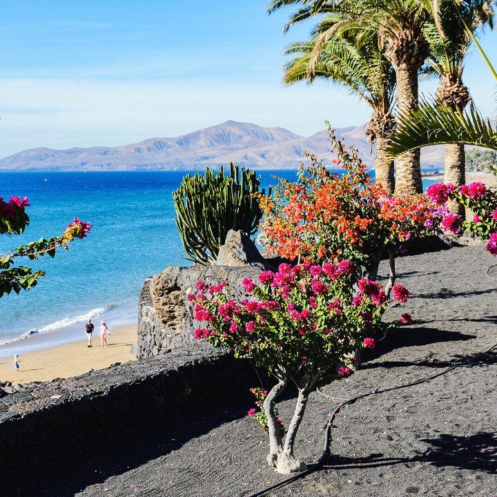 sion - Visiter Puerto del Carmen : Farniente à Lanzarote - 2025 - 13
