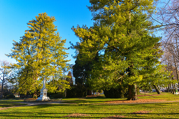 Top Things to Do in Morges Switzerland ⭐️ 2025 Guide