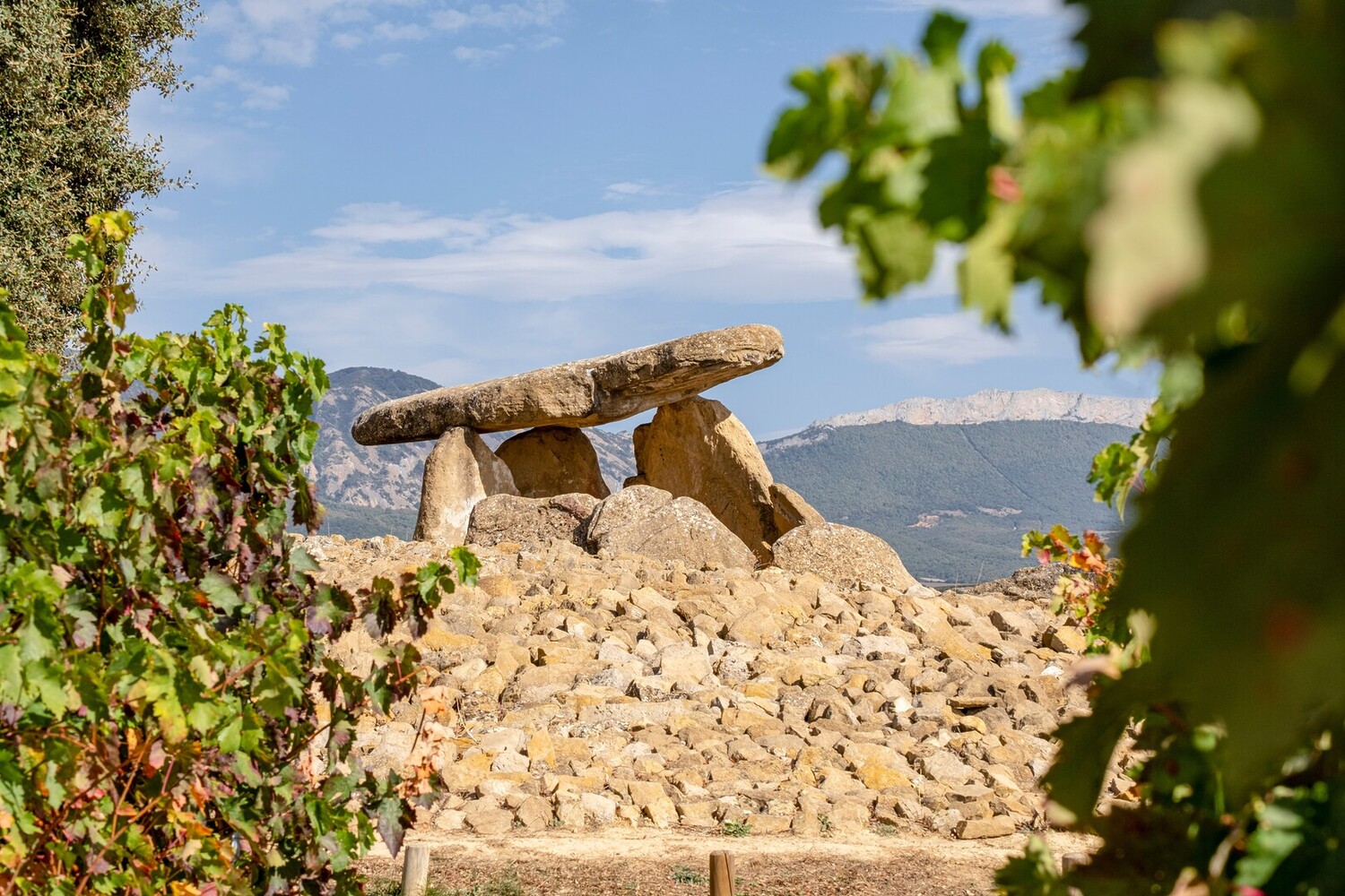 Visiter Laguardia : Caves, Dolmens et vins de la Rioja - 2026 - 14 - laguardia laguardia - Visiter Laguardia : Caves, Dolmens et vins de la Rioja - 2026 - 13