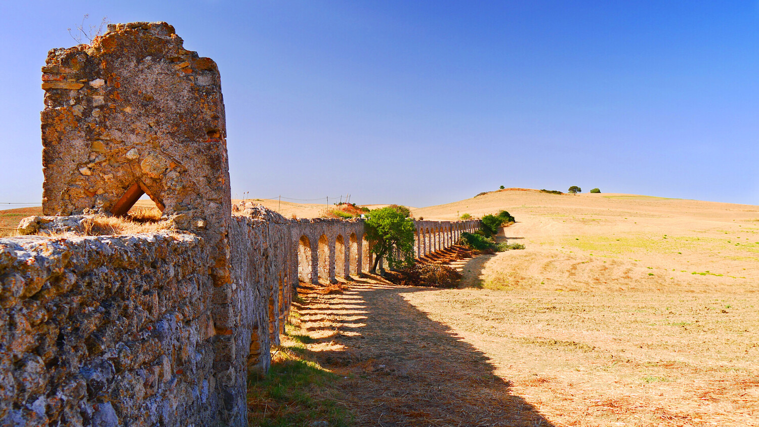 Visit Tarquinia - Visit Tarquinia Italy: Discover the Etruscan Necropolis - 2025 - 11