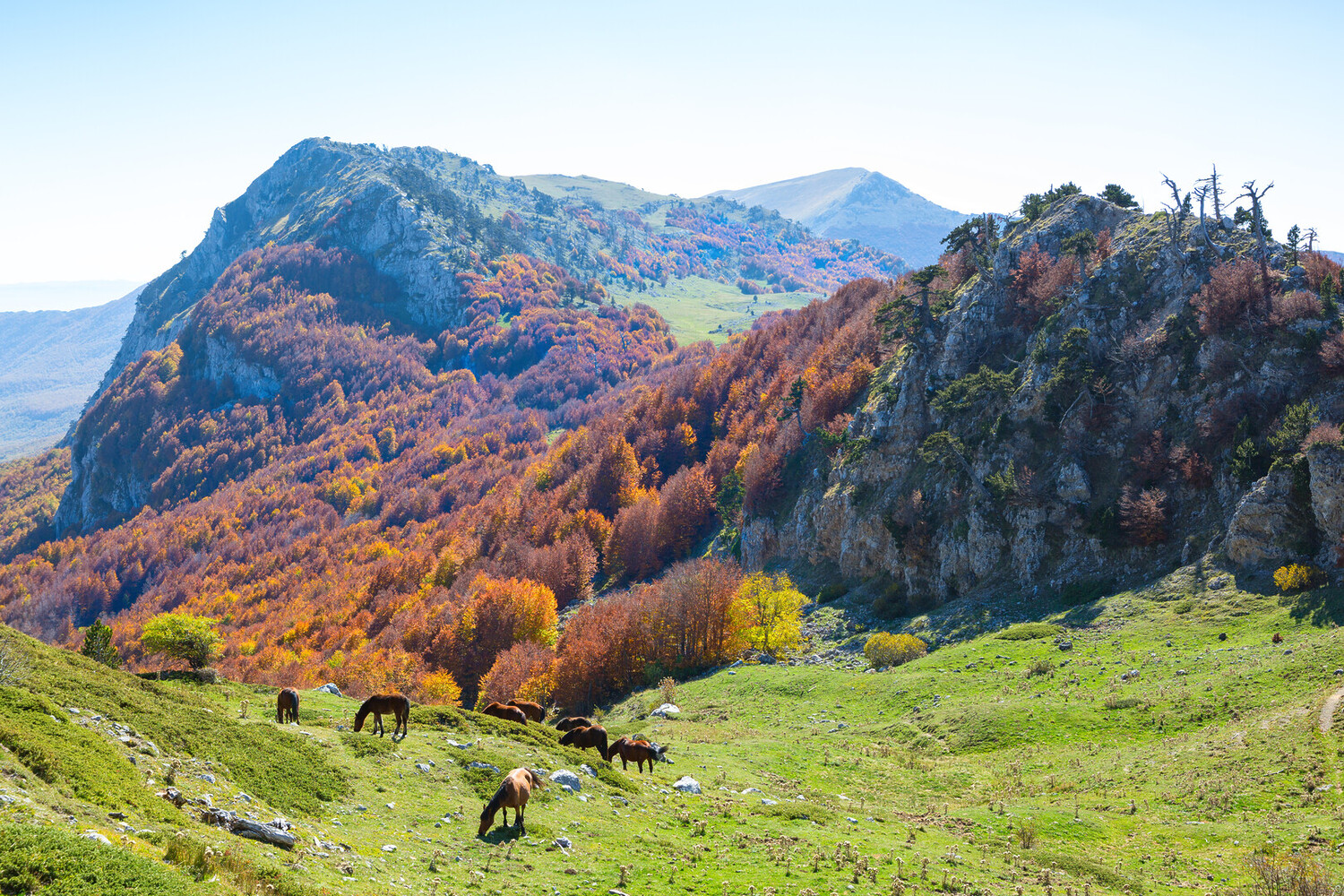 Visit Cosenza - Why You Should Visit Cosenza Italy: Culture, Cuisine, and Wine - 2025 - 15