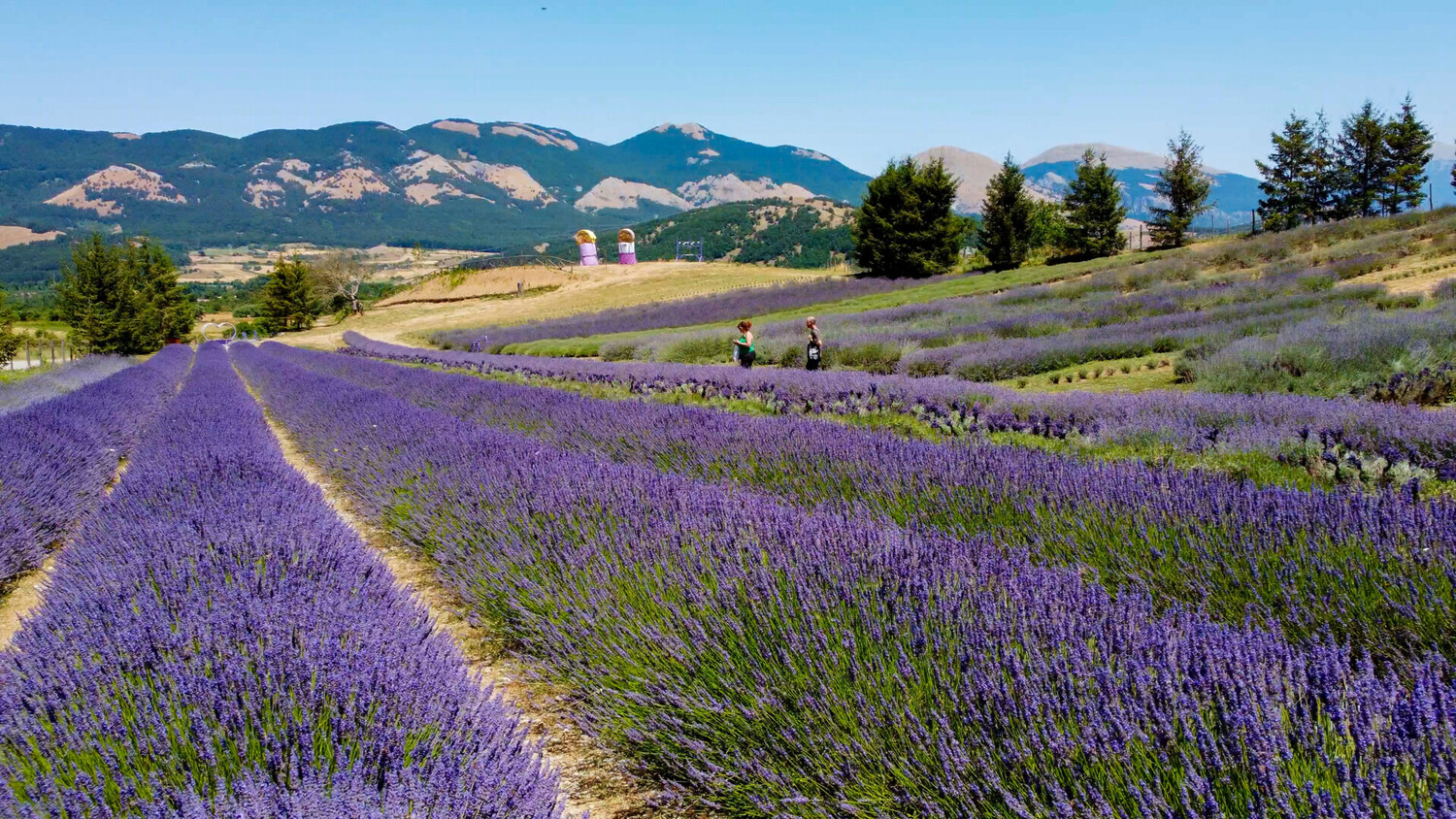 Visit Morano Calabro - Visit Morano Calabro Italy: A Medieval Jewel - 2025 - 9