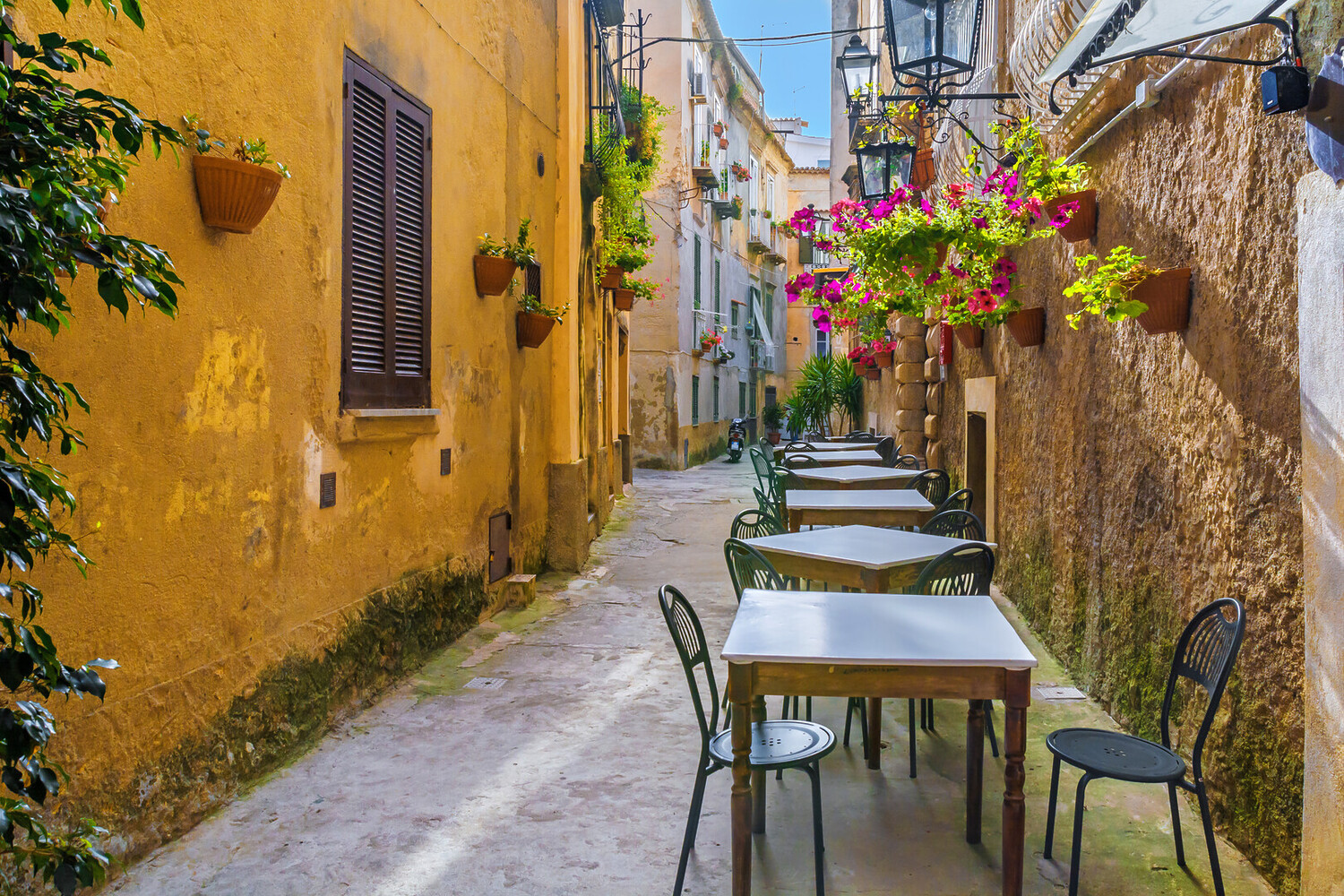 day trips from positano - Day Trips from Positano: Explore Amalfi, Capri, Sorrento & Beyond - 2025 - 3