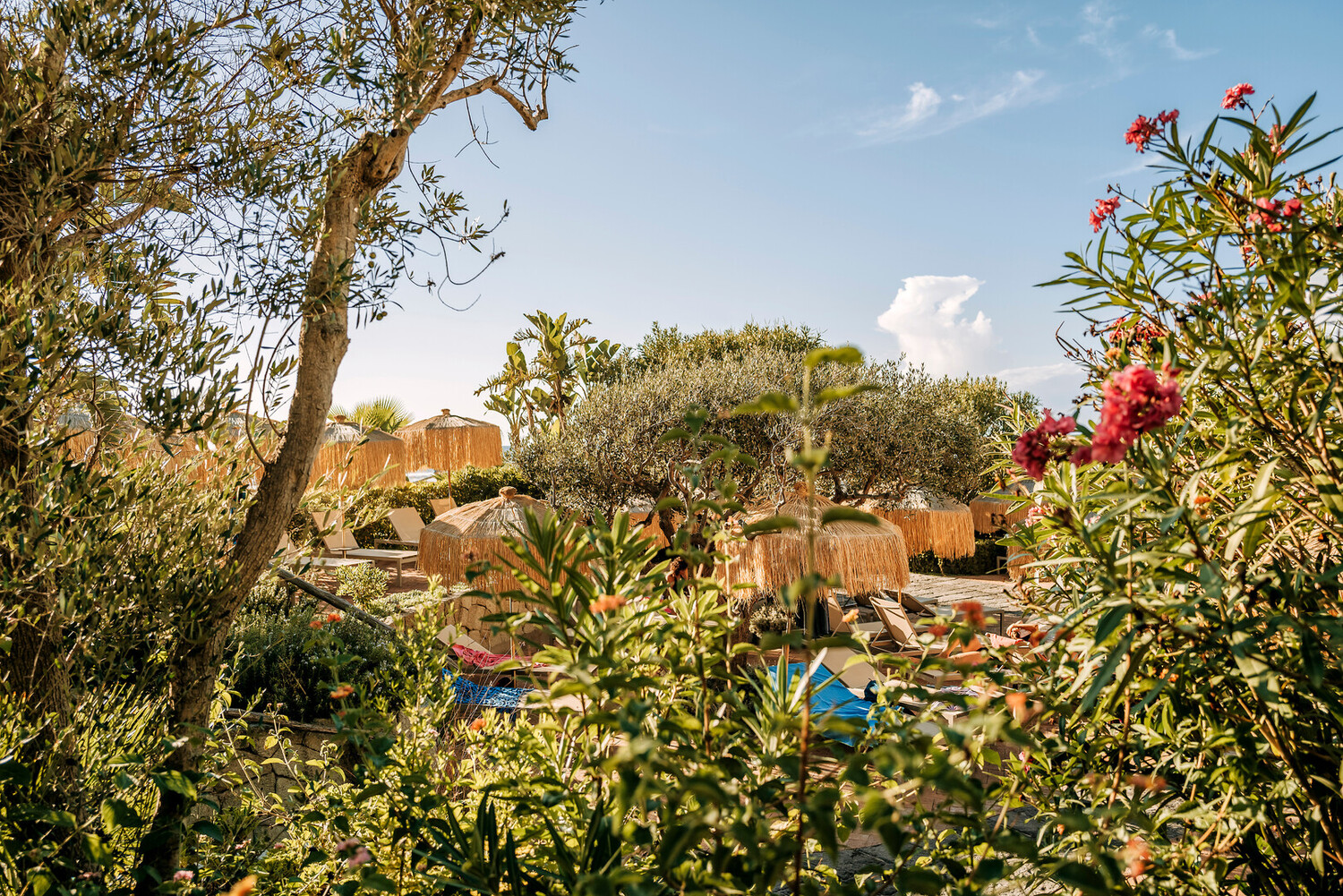 visit ischia - Visit Ischia Italy: Thermal Bliss and Coastal Charm - 2025 - 5