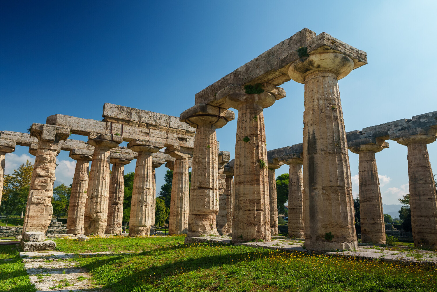 Visit Paestum - Visit Paestum: Discover Greek Temples of Southern Italy - 2025 - 3