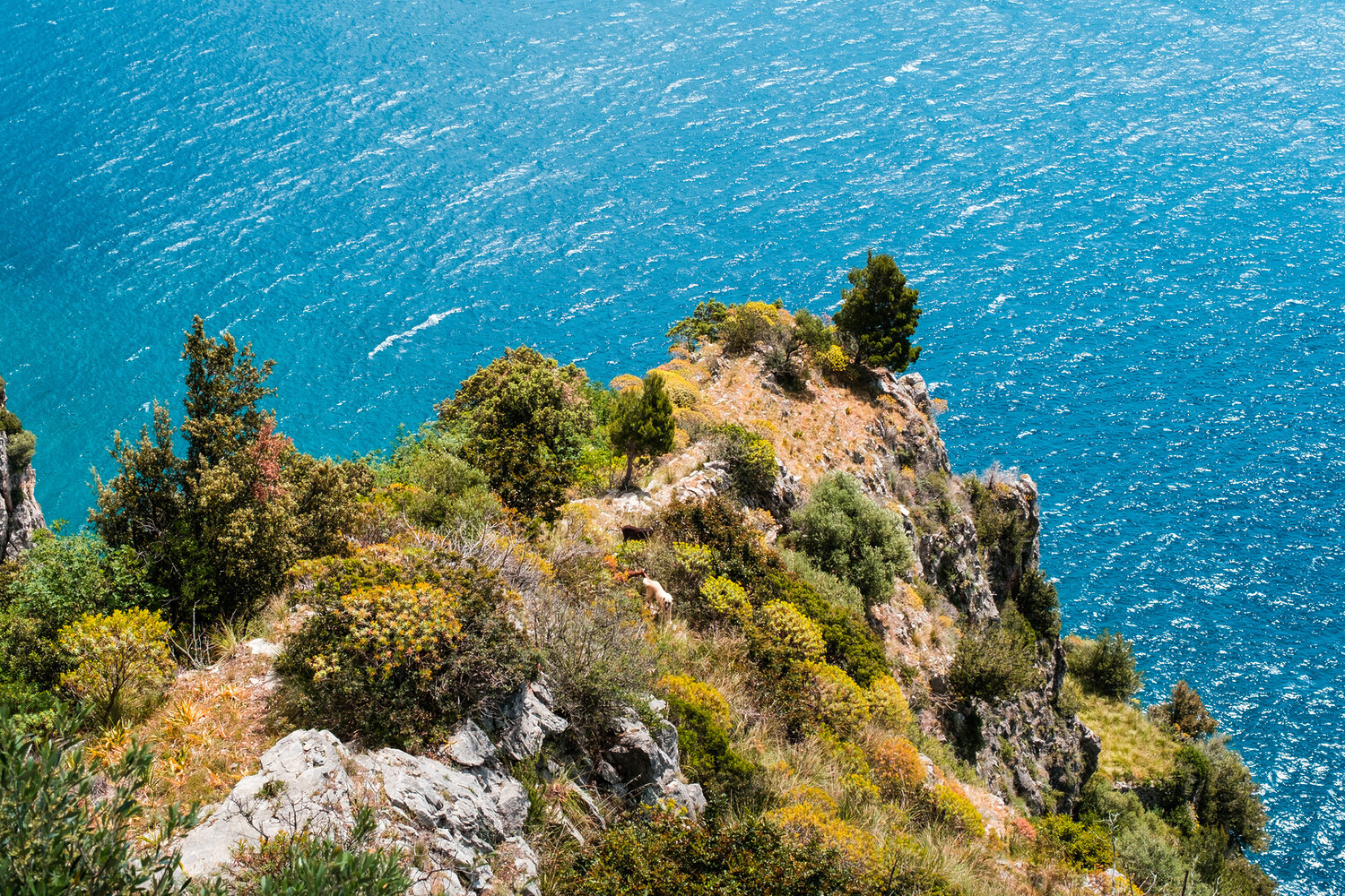 Visit Tramonti - Visit Tramonti Italy: Dive Into the Heart of the Coast - 2025 - 5