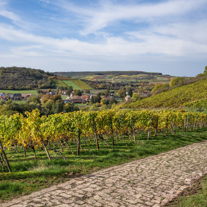 dozza - Connaissez-vous la fameuse Rue des Vignerons ? - 2025 - 11