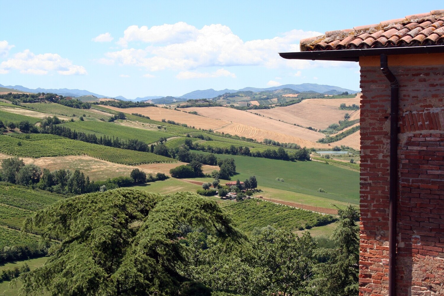 Visit Dozza - Visit Dozza Italy: Guide to the Medieval Village - 2025 - 9