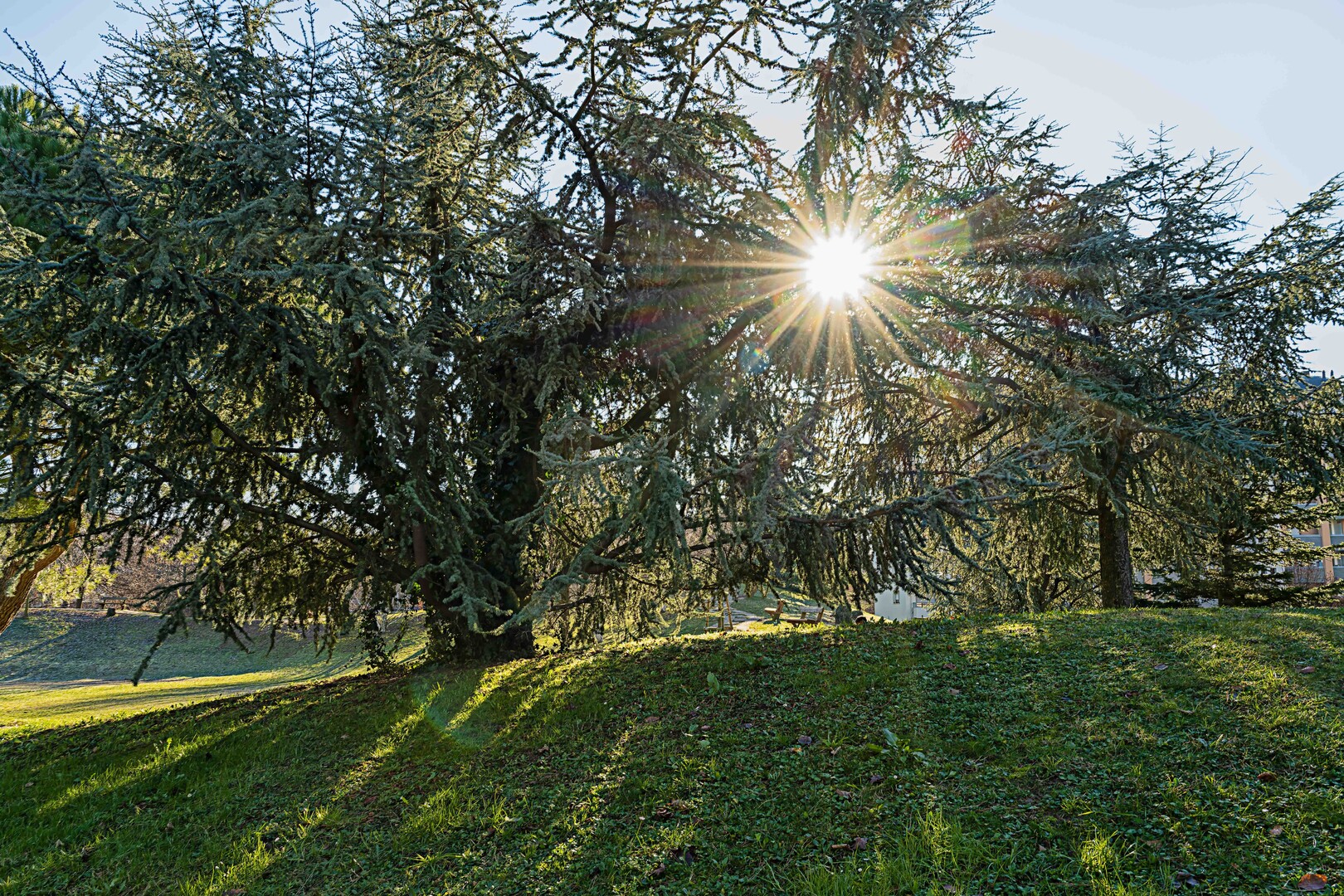 visit udine - Visit Udine Italy: A Hidden Gem You Can't Miss - 2025 - 15