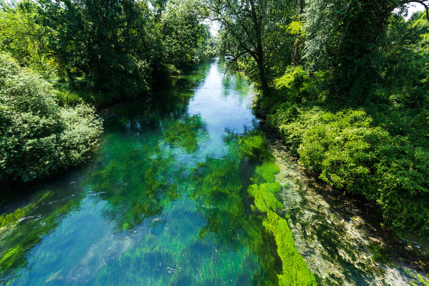 Visit Pordenone - Visit Pordenone Italy for Art, Culture, and Local Wine - 2025 - 9