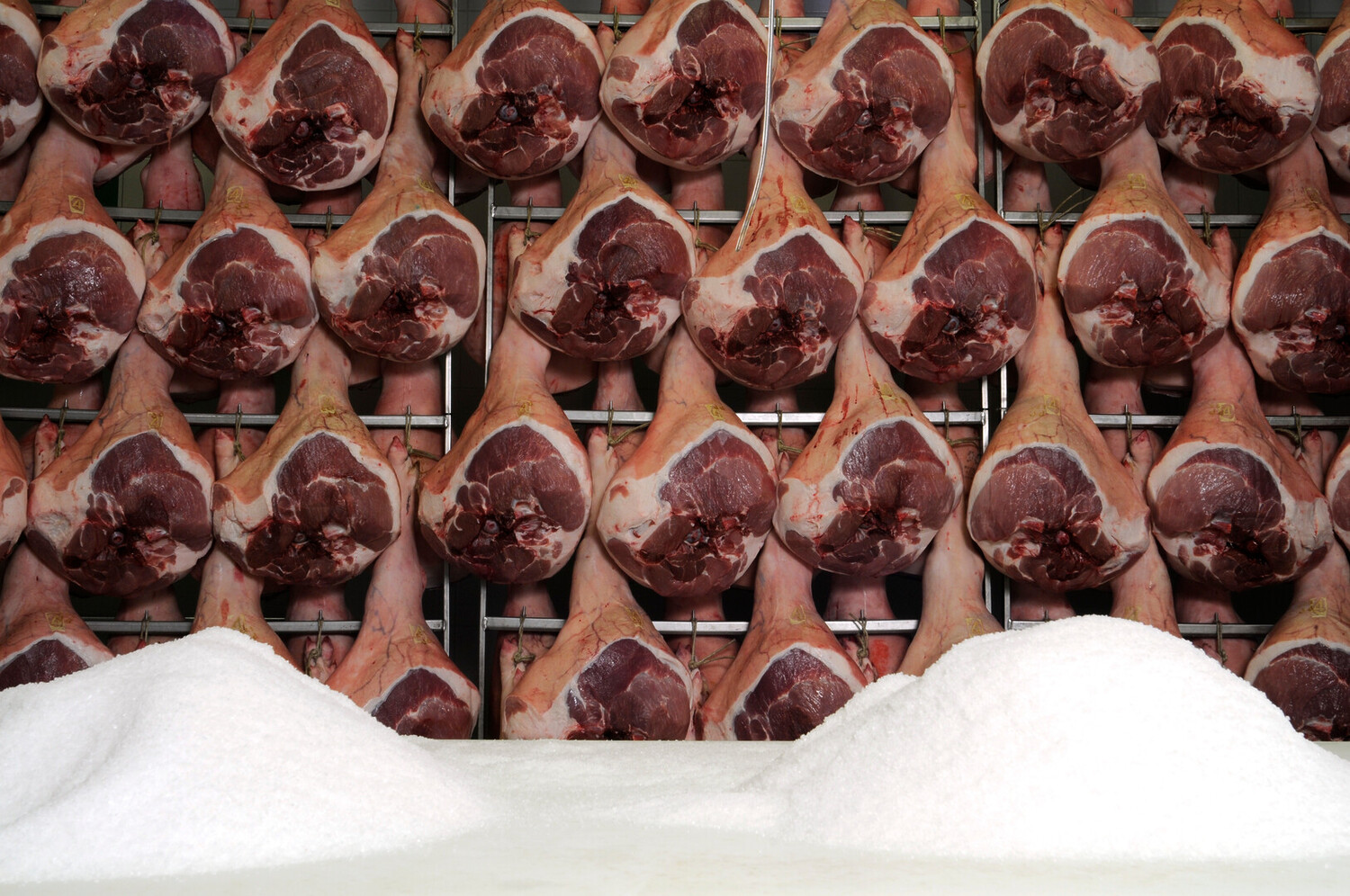 Visit San Daniele del Friuli - Visit San Daniele del Friuli: Discover Italy’s Prosciutto Paradise - 2025 - 5