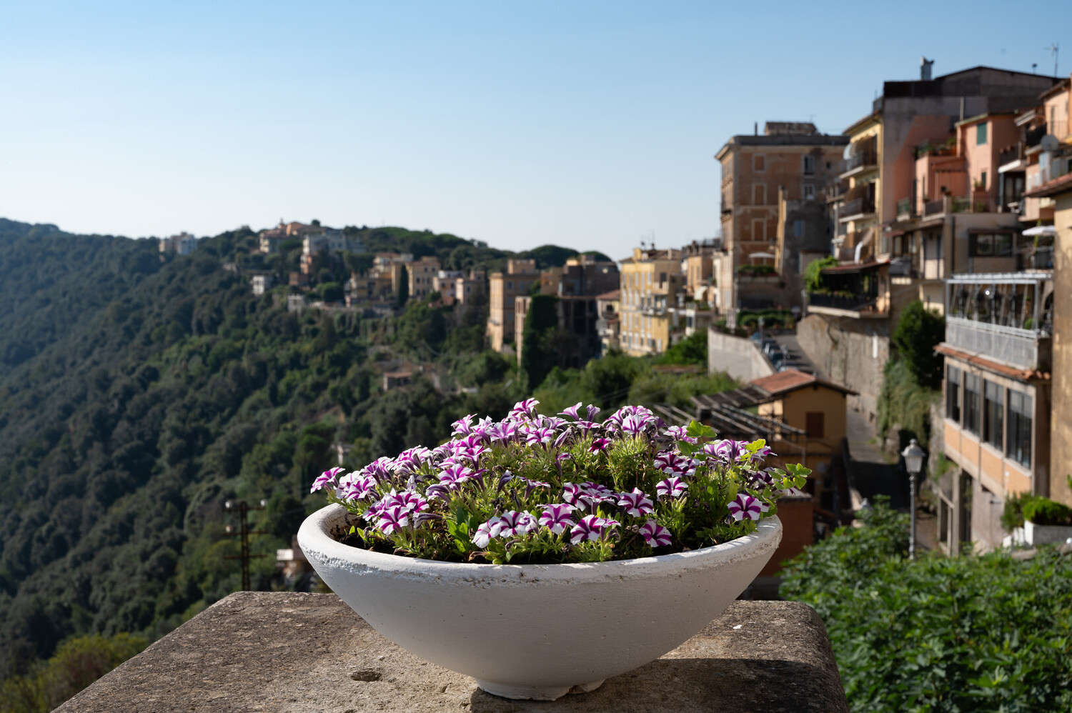 Visit Castel Gandolfo - Visit Castel Gandolfo: Explore the Papal Palace and the Papal Villas - 2025 - 13