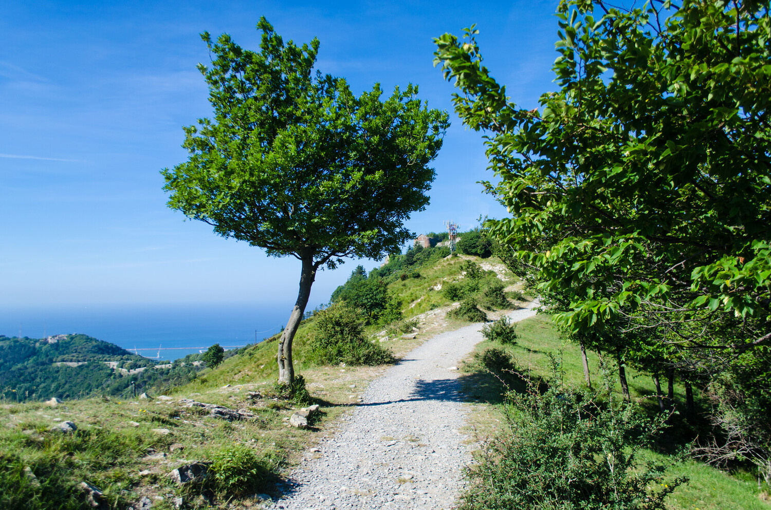 Things to Do in Cinque Terre - Unforgettable Things to Do in Cinque Terre - 2025 - 13