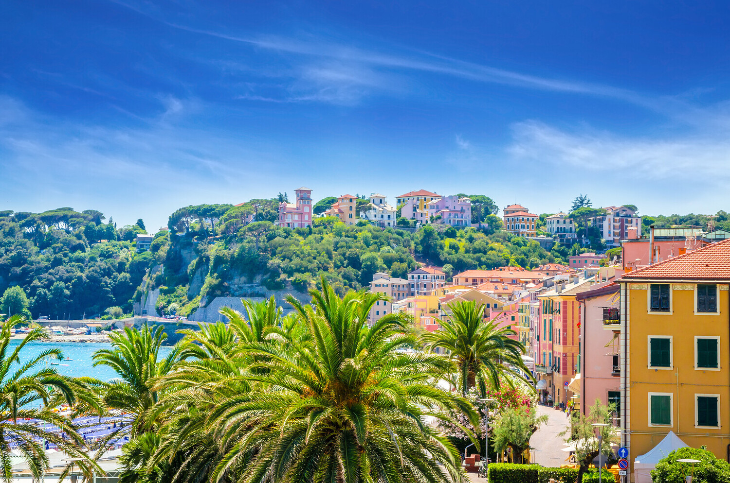 Visit Savona - Visit Savona Italy and Uncover the Best Things to Do in Town - 2025 - 1