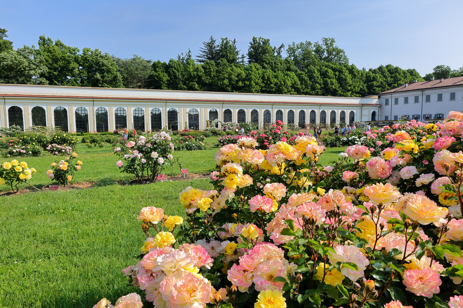 visit Monza - Visit Monza Italy: Villa, Roses & F1 Heritage - 2025 - 5