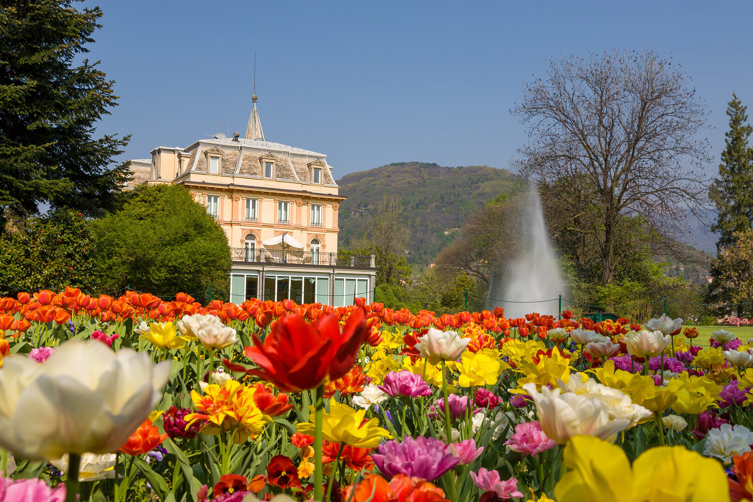 Visit Lake Maggiore - Visit Lake Maggiore: Best Things to Do and See - 2025 - 5