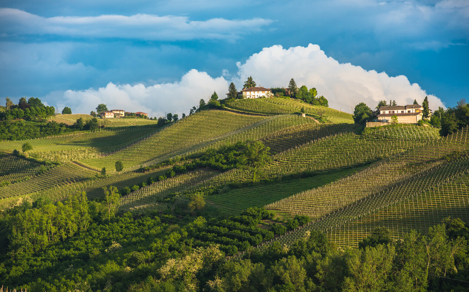 Best Town to Stay in Piedmont - Best Town to Stay in Piedmont Italy During Your Trip - 2025 - 1
